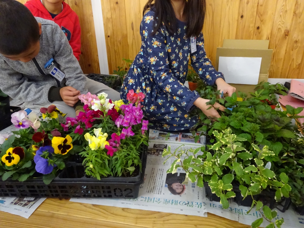 91nnw1p46_kylruaxmtnmyu2b6dkuu4l.jpg 91nnw1p46_kylruaxmtnmyu2b6dkuu4l.jpg